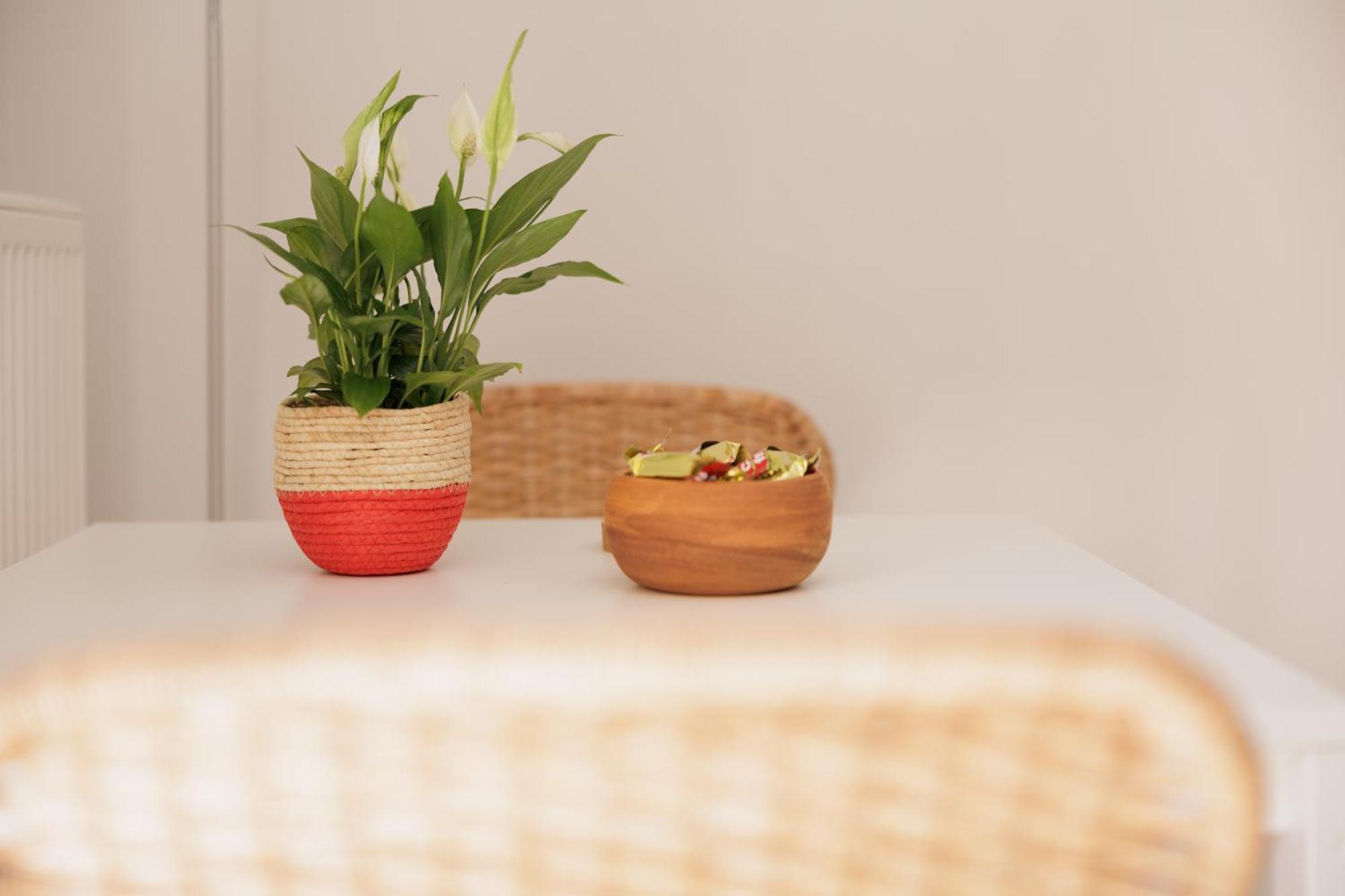 Eral Apartment *
